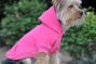 dog wearing pink hoodie