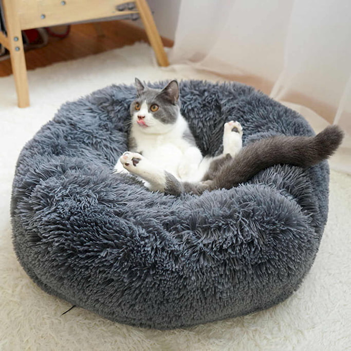 plush beds for cats