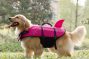 dog wearing pink life jacket