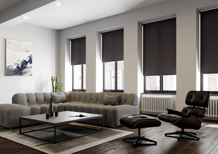 blackout blinds in a livingroom 